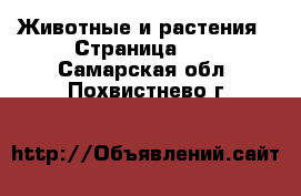  Животные и растения - Страница 40 . Самарская обл.,Похвистнево г.